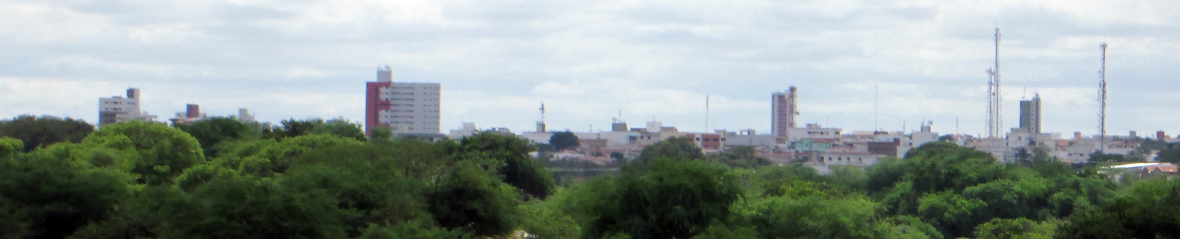 Paisagem urbana de Caicó, com árvores em primeiro plano e edifícios ao fundo, em fotografia de 2013; não retrata a consulta pública nem um projeto de zoneamento